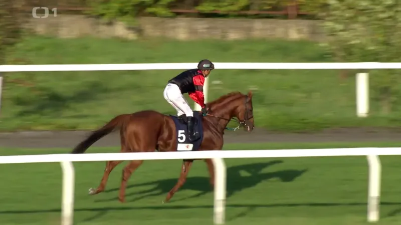 Belgický žokej Soumillon vyhrál pátý ročník poháru žokejů