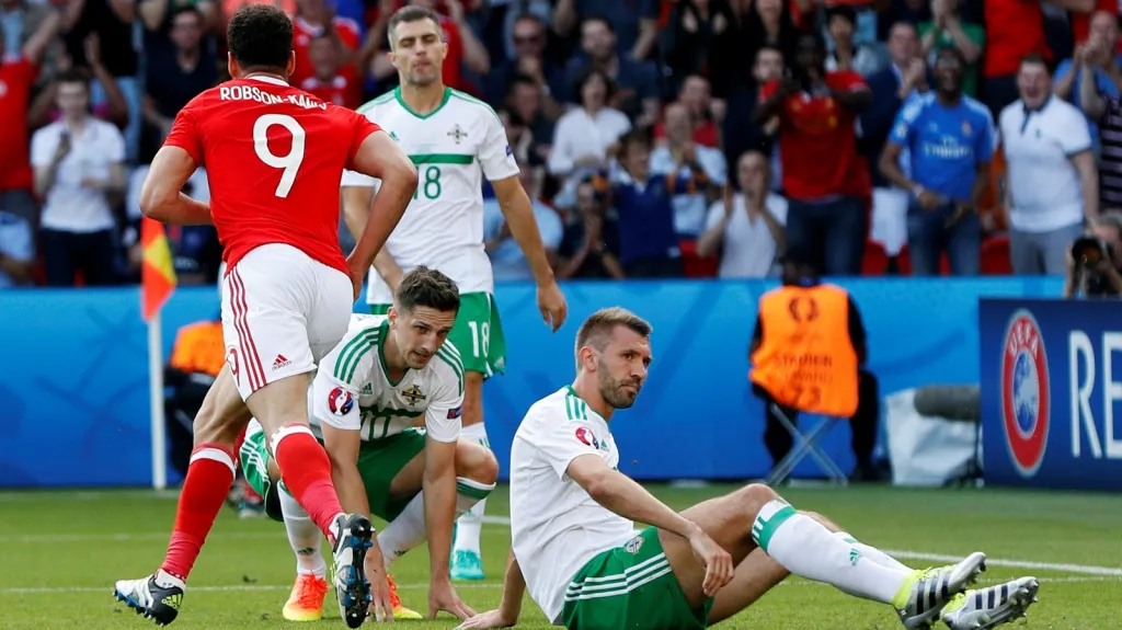 Gareth McAuley (na zemi)