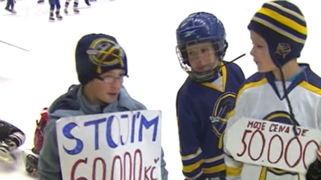 Jindřichohradecké hokejové kluby mládeže zůstaly bez peněz