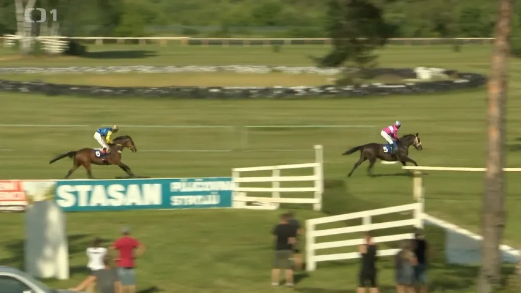 Memoriál Evy Palyzové vyhrál Aeneas