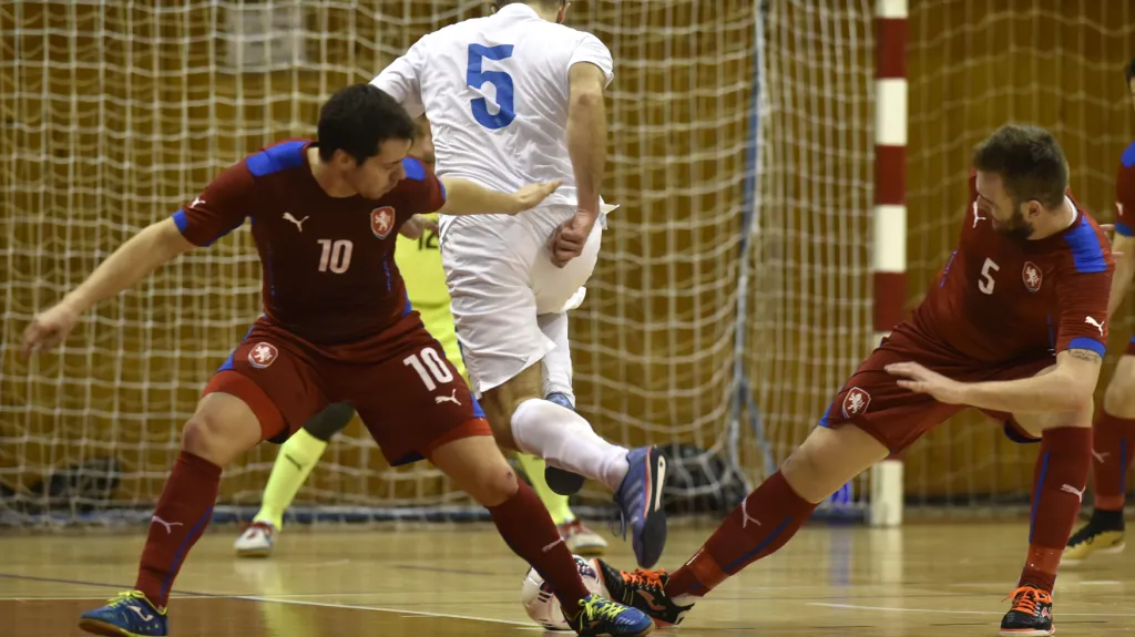 Utkání Česko - Slovinsko