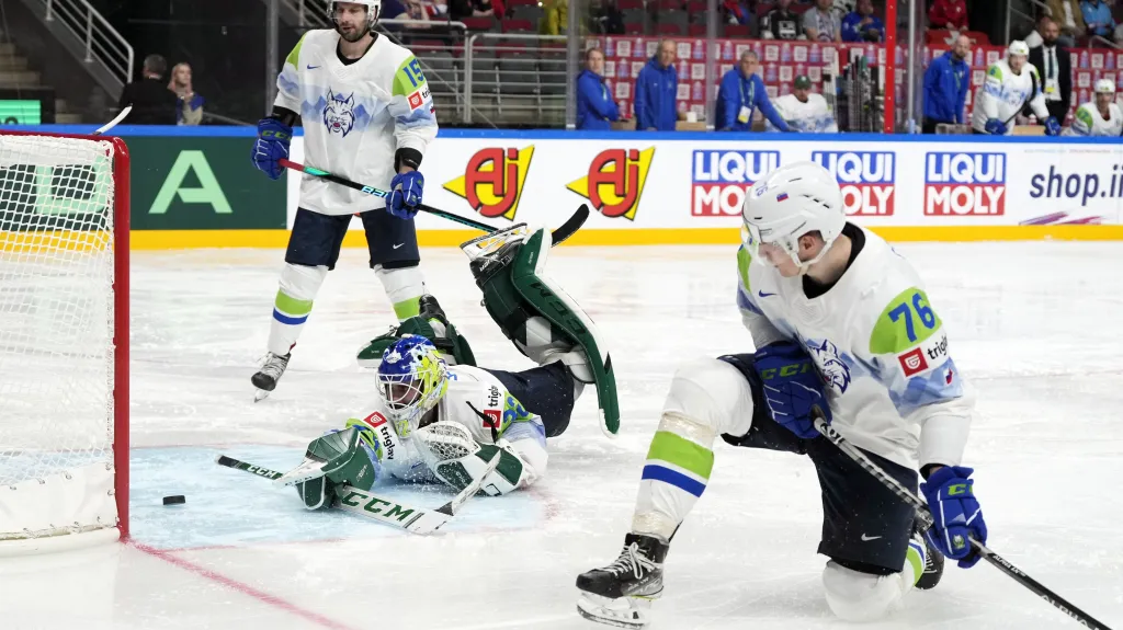 Slovinští hokejisté