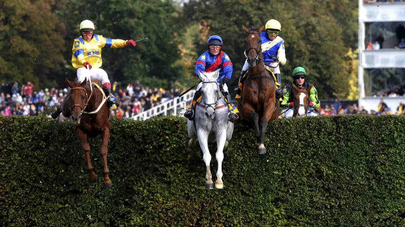 Reportáž: Velká pardubická