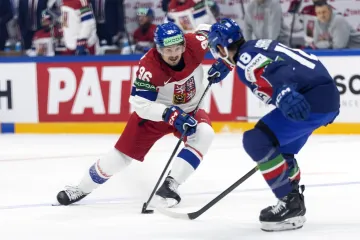 David Tomášek