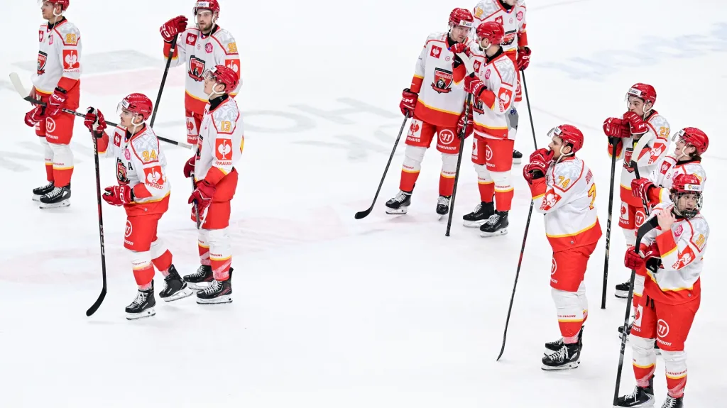 Hradečtí hokejisté