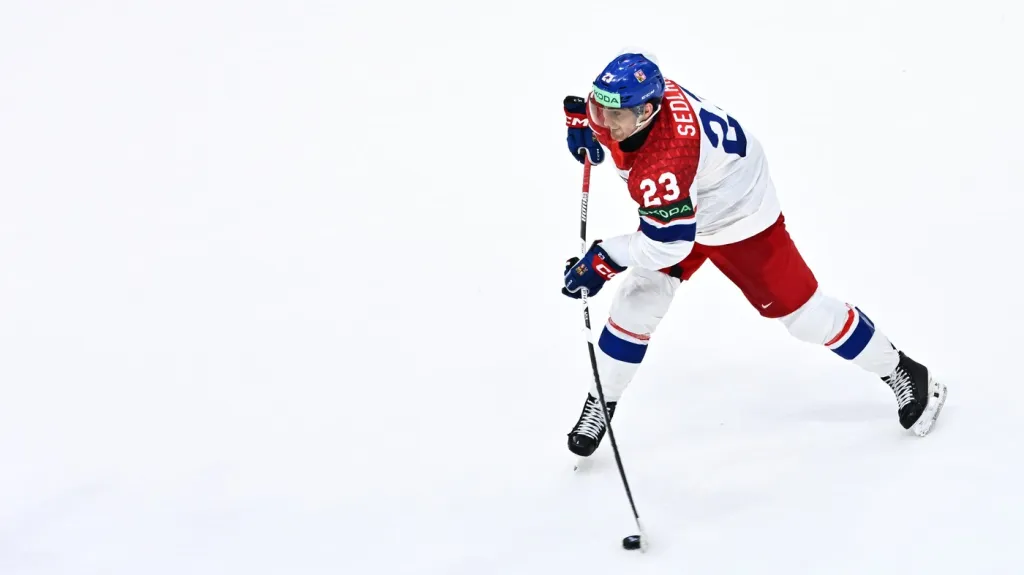 Lukáš Sedlák