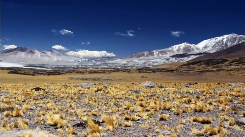 Rallye Dakar objektivem Petra Luska