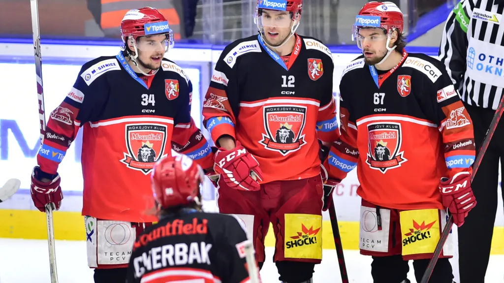 Radost hokejistů Hradec Králové