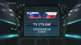 Sestřih utkání Slovinsko - Česko