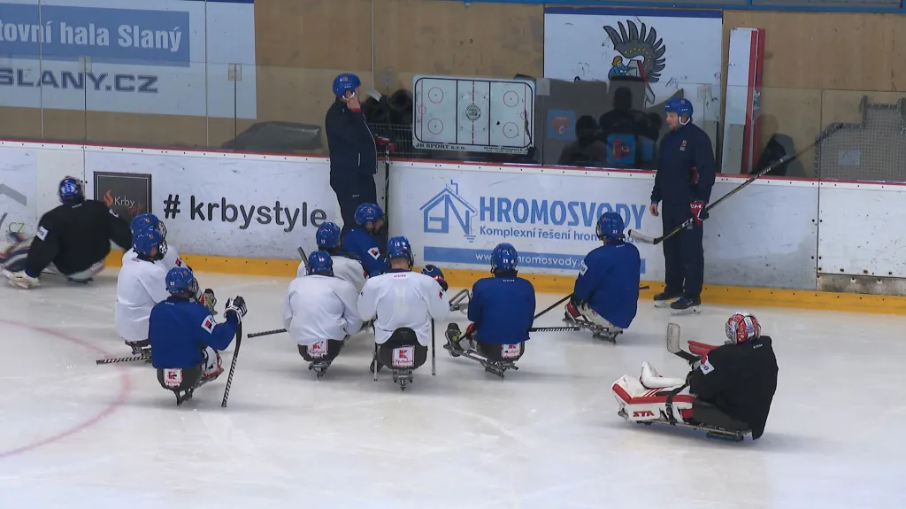 Parahokejisté odletěli do dějiště MS