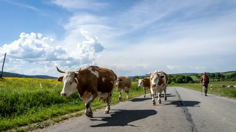 Na polských silnicích