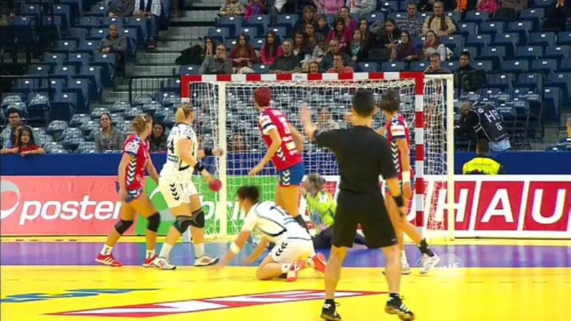 Utkání Česko - Srbsko