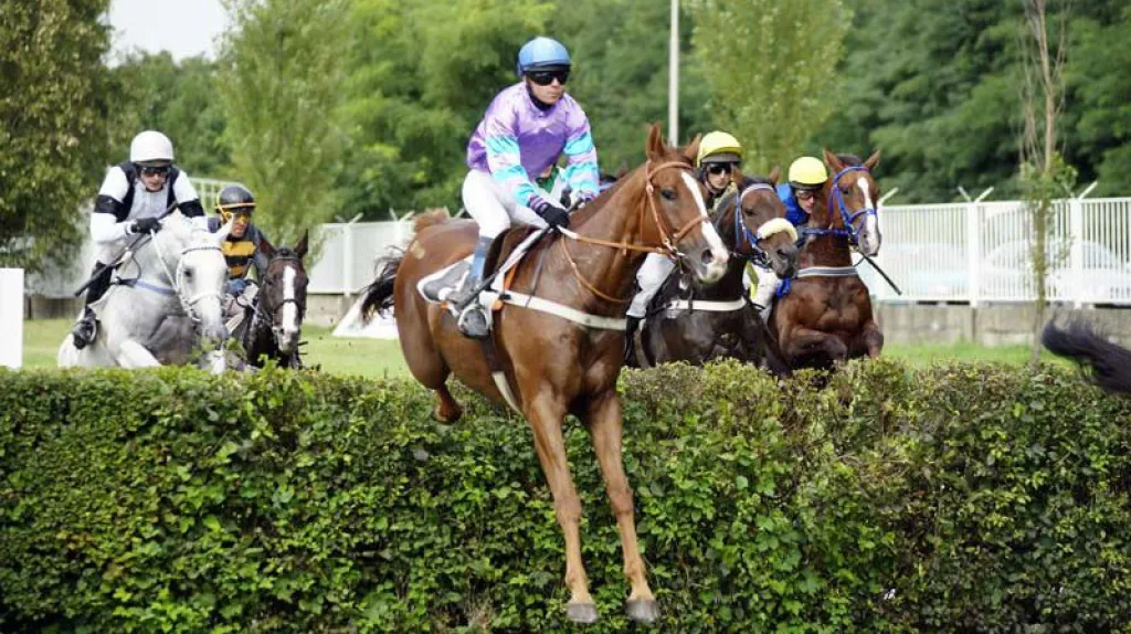 Kvalifikace na Velkou pardubickou
