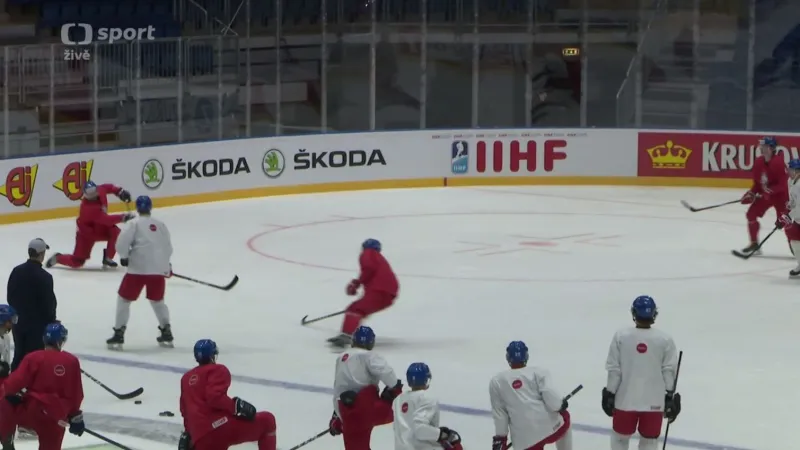 Do branky by se proti Švédům mohl postavit Bartošák