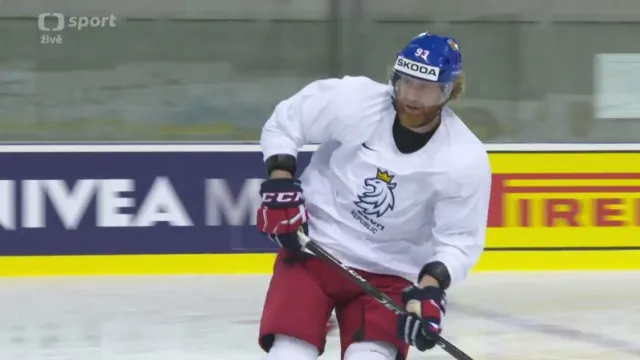 Proti Německu bude nejspíš chytat Bartošák