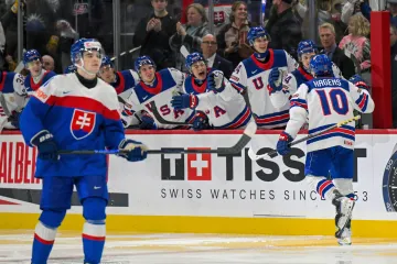 Utkání Slovensko - USA