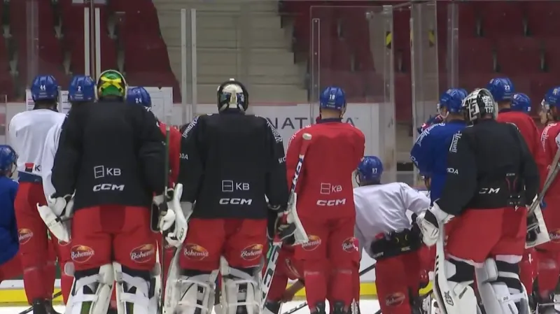 Petr Nedvěd o možnostech zámořských posil pro MS