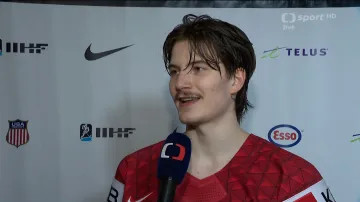 Mařík: Je to instinkt, že nezbývá nic jiného, než tam skočit