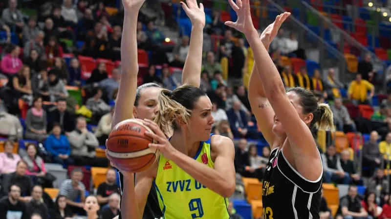 Utkání ZVVZ USK Praha - Castors Braine