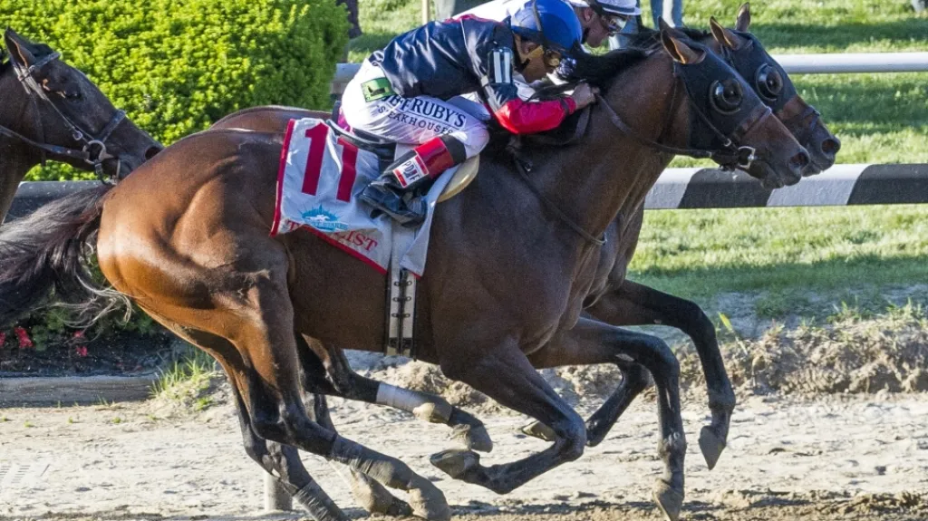 Dostih v Belmont Stakes těsně vyhrál Tonalist v sedle s Joelem Rosariem