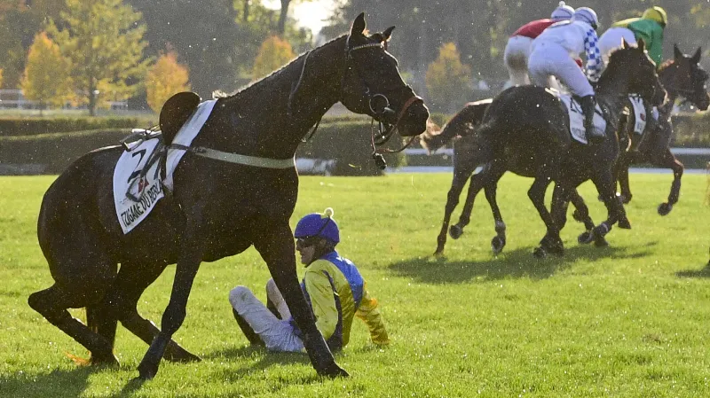 Tzigane du Berlais s Janem Faltejskem po pádu na Taxisu