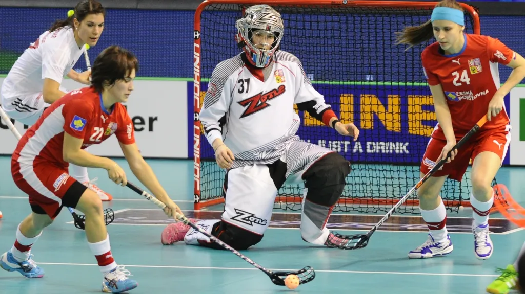 Utkání Česko - Švýcarsko