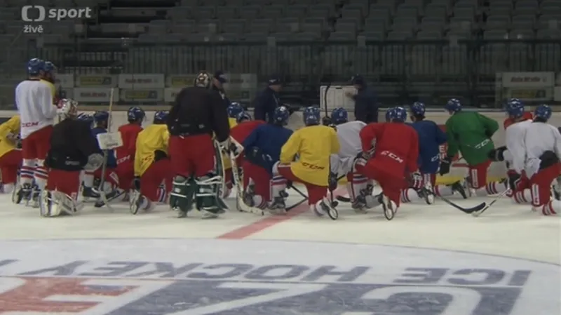 Zápas s Finskem prověří mladou obranu