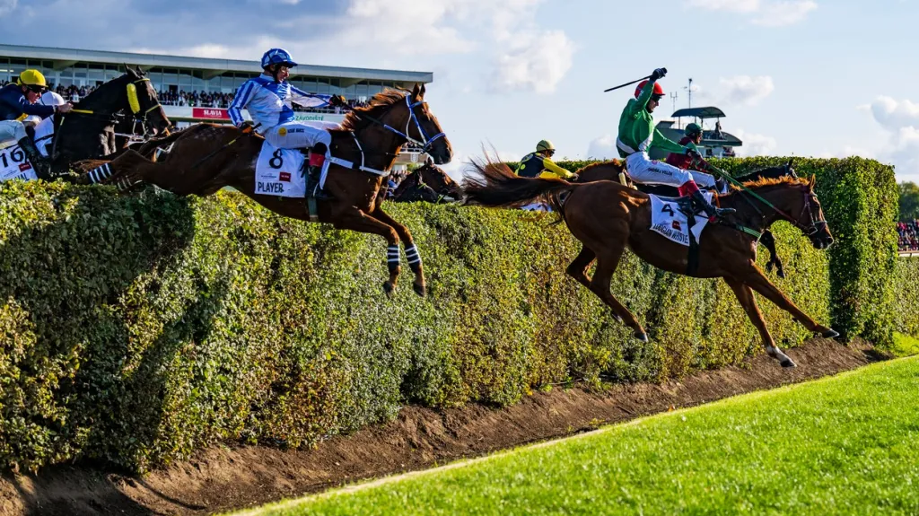 Taxisův příkop na Velké pardubické
