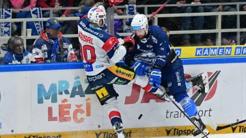 ŽIVĚ: Kometa Brno – Dynamo Pardubice