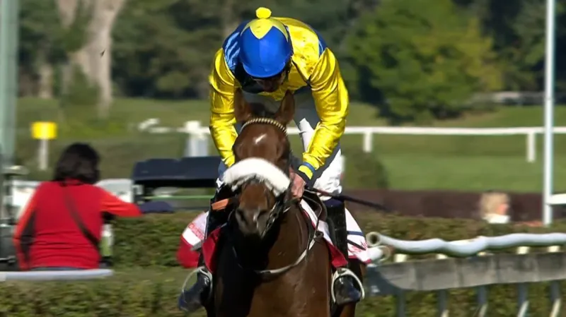 Záznam a ohlasy Křišťálového poháru města Pardubic