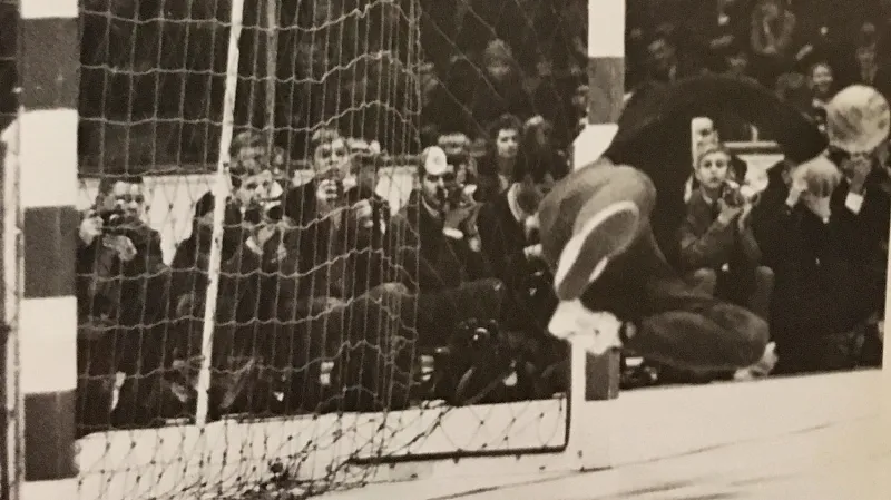 Arnoštova robinsonáda