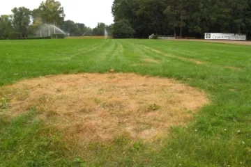 Vypálená tráva na pardubickém závodišti