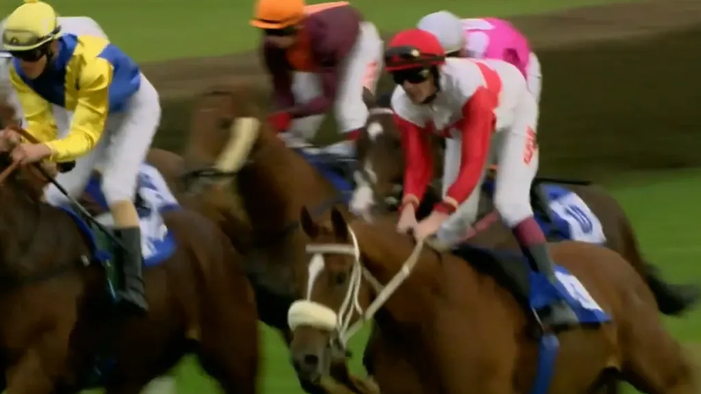 O cenu nejlepšího dvouletého koně si řekl vítězný Zock