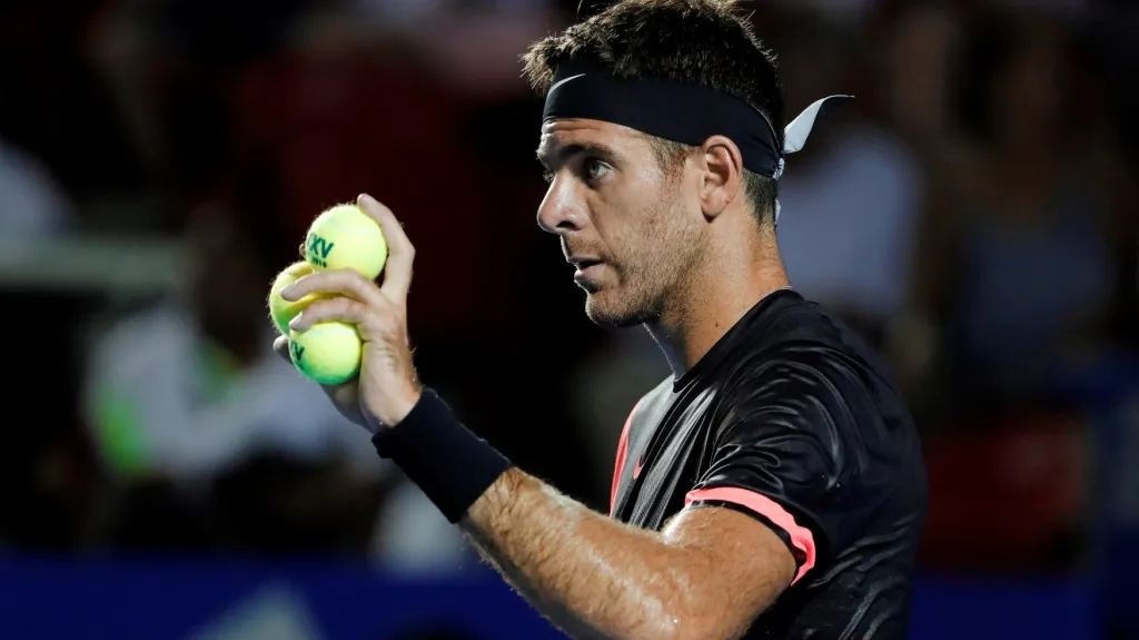 Juan Martín Del Potro 