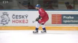 Hokejisté se připravují s pěti novými hráči