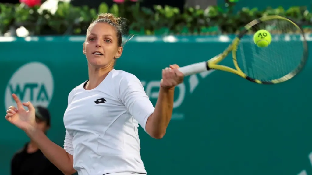 Kristýna Plíšková