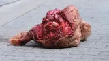 Fanoušci Dynama Drážďany vhodili vedle hřiště v pohárovém utkání proti RB Lipsko odříznutou býčí hlavu