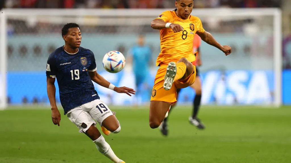 Nizozemec Cody Gakpo (vpravo) v utkání s Ekvádorem