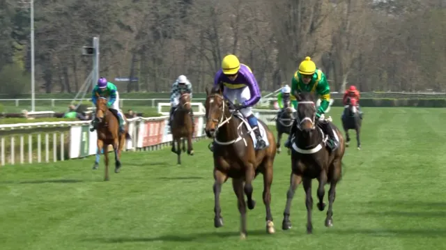 Cena společnosti Enigoo