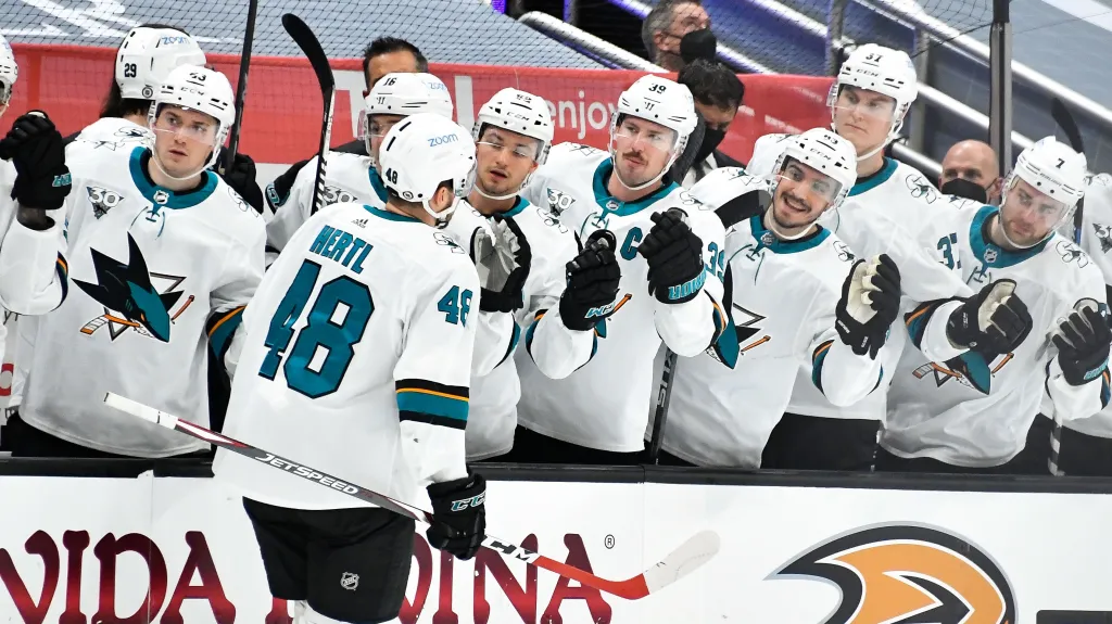 Tomáš Hertl se raduje z branky se spoluhráči ze San Jose