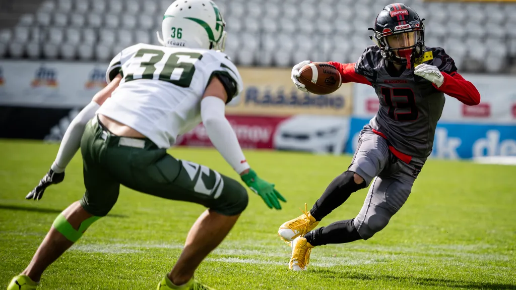 Gladiators - Alligators