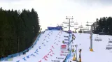 Paralelní slalom