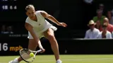 Karolína Plíšková