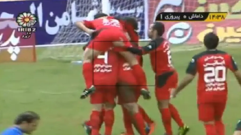 Inkriminovaný štípanec