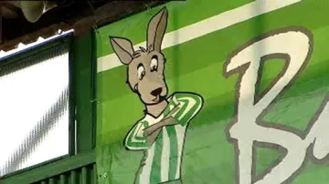 Maskot zelenobílých