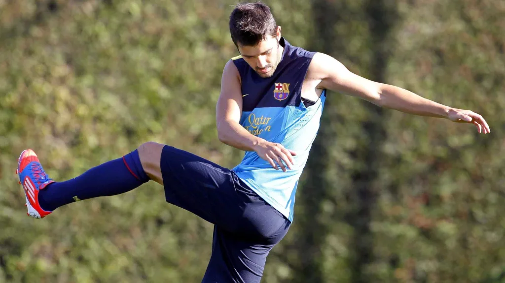 David Villa