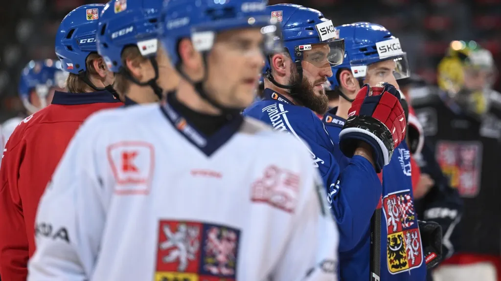 Trénink české reprezentace