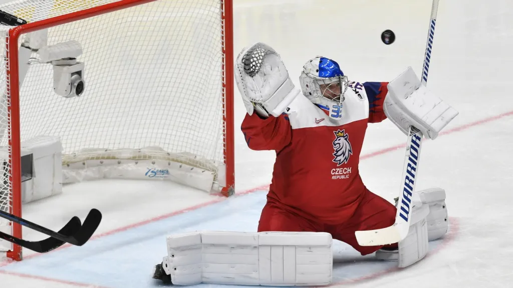Český brankář Pavel Francouz na MS