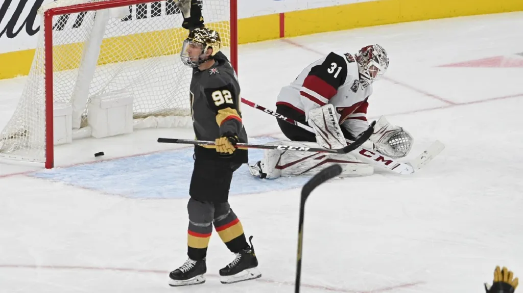 Tomáš Nosek slaví gól proti Arizoně