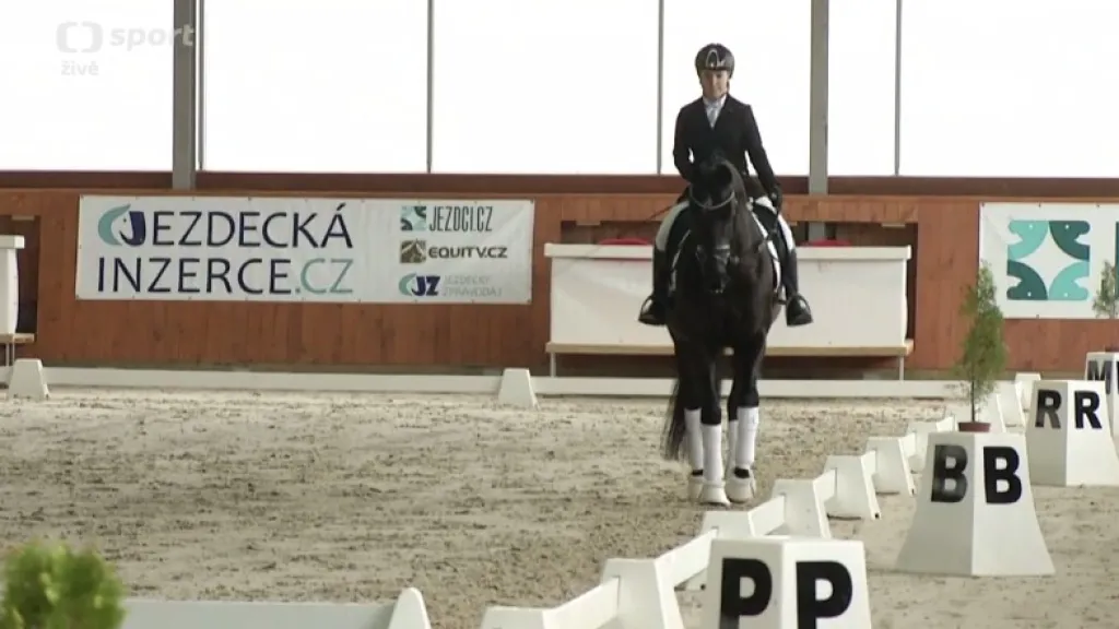 Na jezdeckém festivalu v Královicích nechyběly ani estetické soutěže